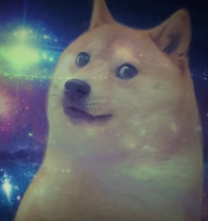 Doge__